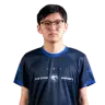 ariucle
