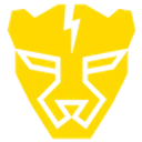 Fearless Cheetahs logo