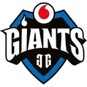 Giants fe logo
