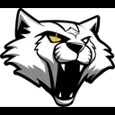 Wygers AR logo