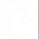 RVNS logo