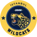 Istanbul Wildcats logo