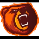 Bears Concept logo