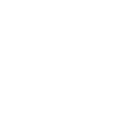 Born in Mongolia logo