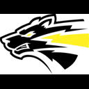 Storm Wolves logo