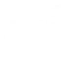 9z fe logo