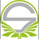 Singularity fe logo