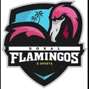 Miami Flamingos logo