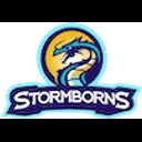 Stormborns logo