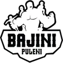 Bajini Puleni logo
