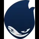 Defining Stars logo