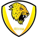 Intic logo