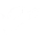 Veto logo