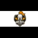 Brave Soldiers logo